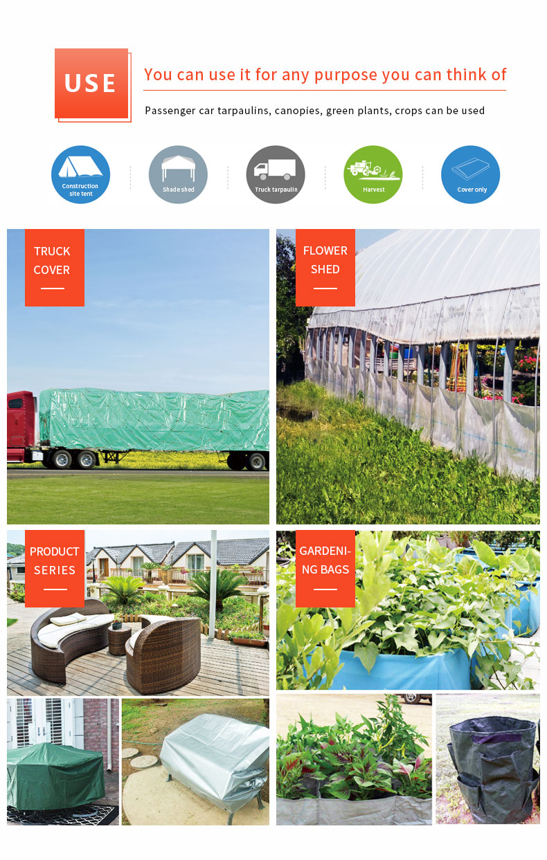 Escenario de aplicaci&oacute;n