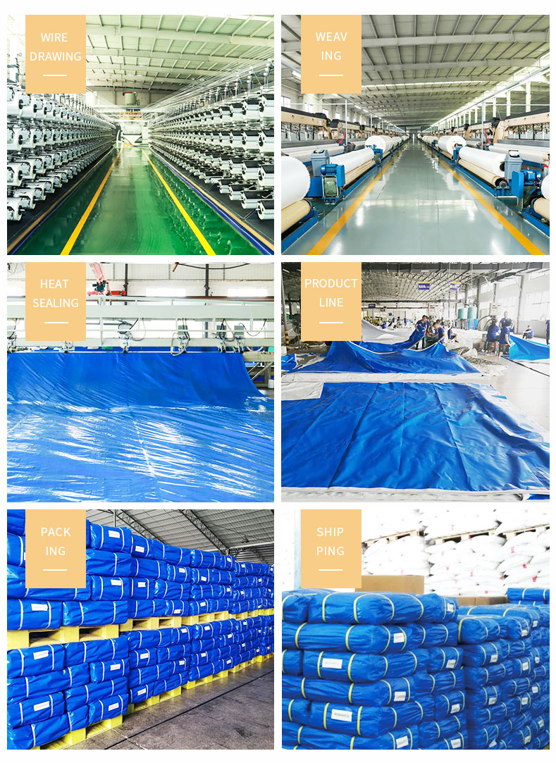 Almac&eacute;n, fuerza