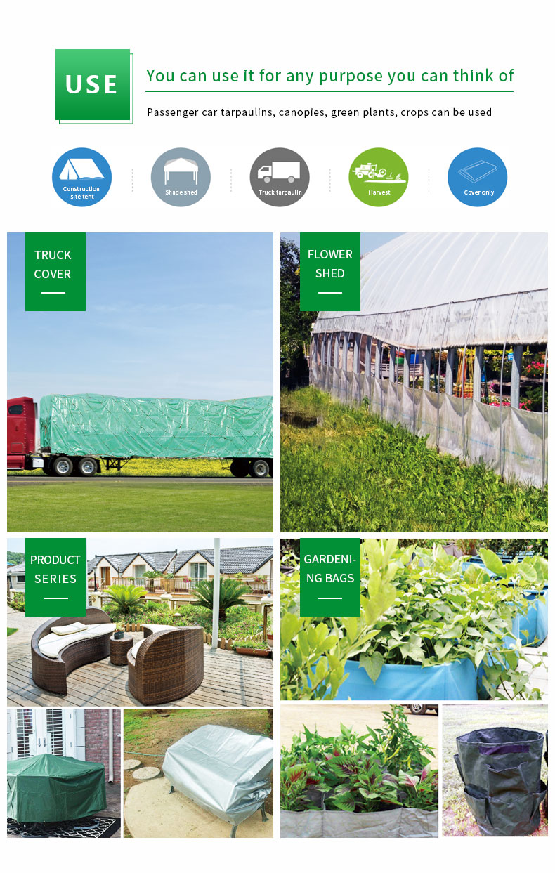 Escenario de aplicaci&oacute;n