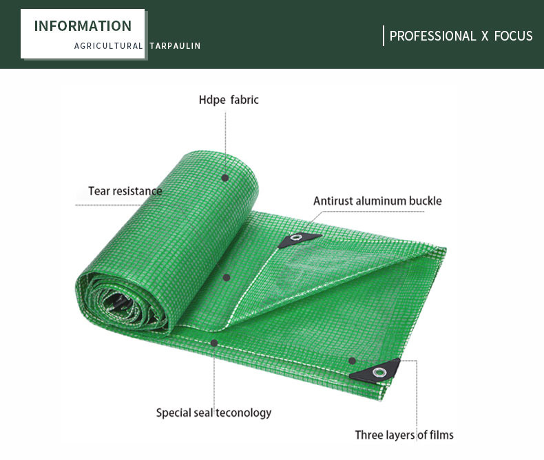 enfoque profesional x