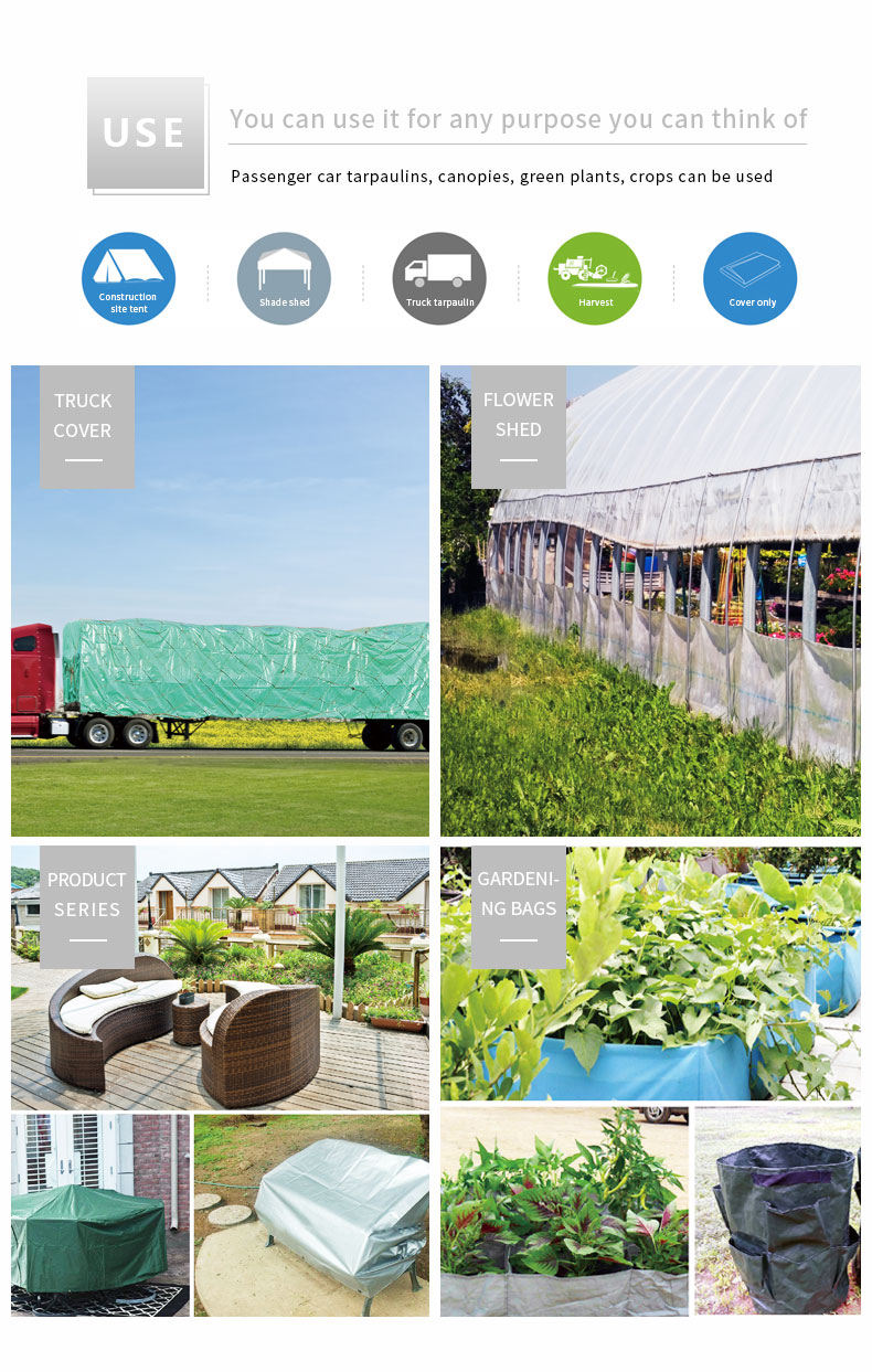 Escenario de aplicaci&oacute;n