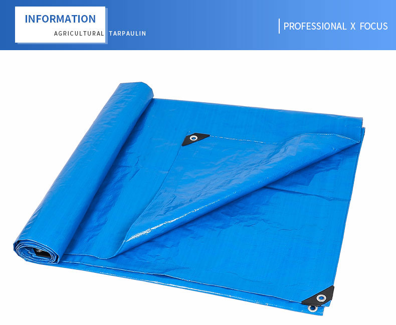 enfoque profesional x