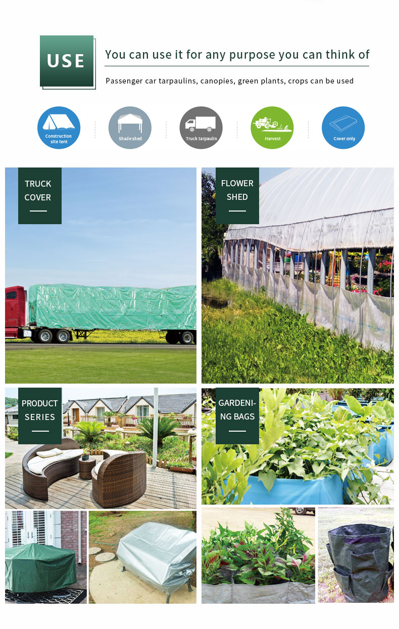 Escenario de aplicaci&oacute;n