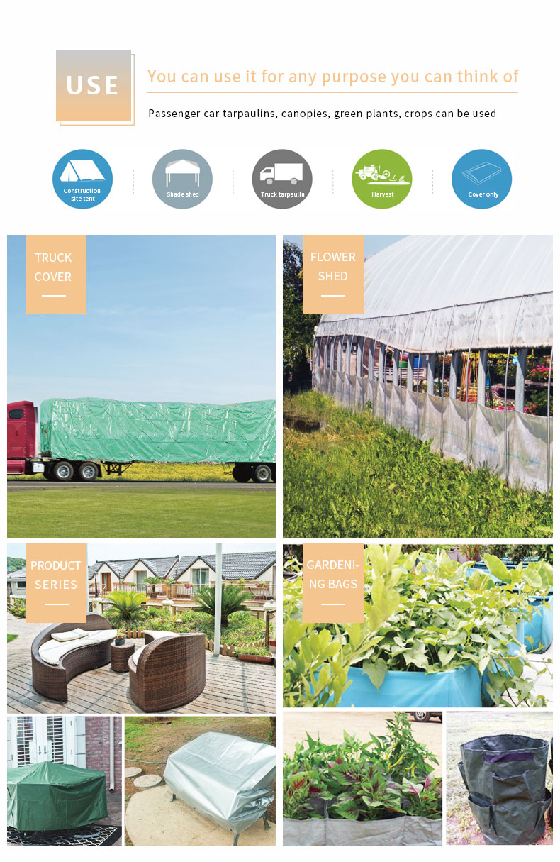 Escenario de aplicaci&oacute;n