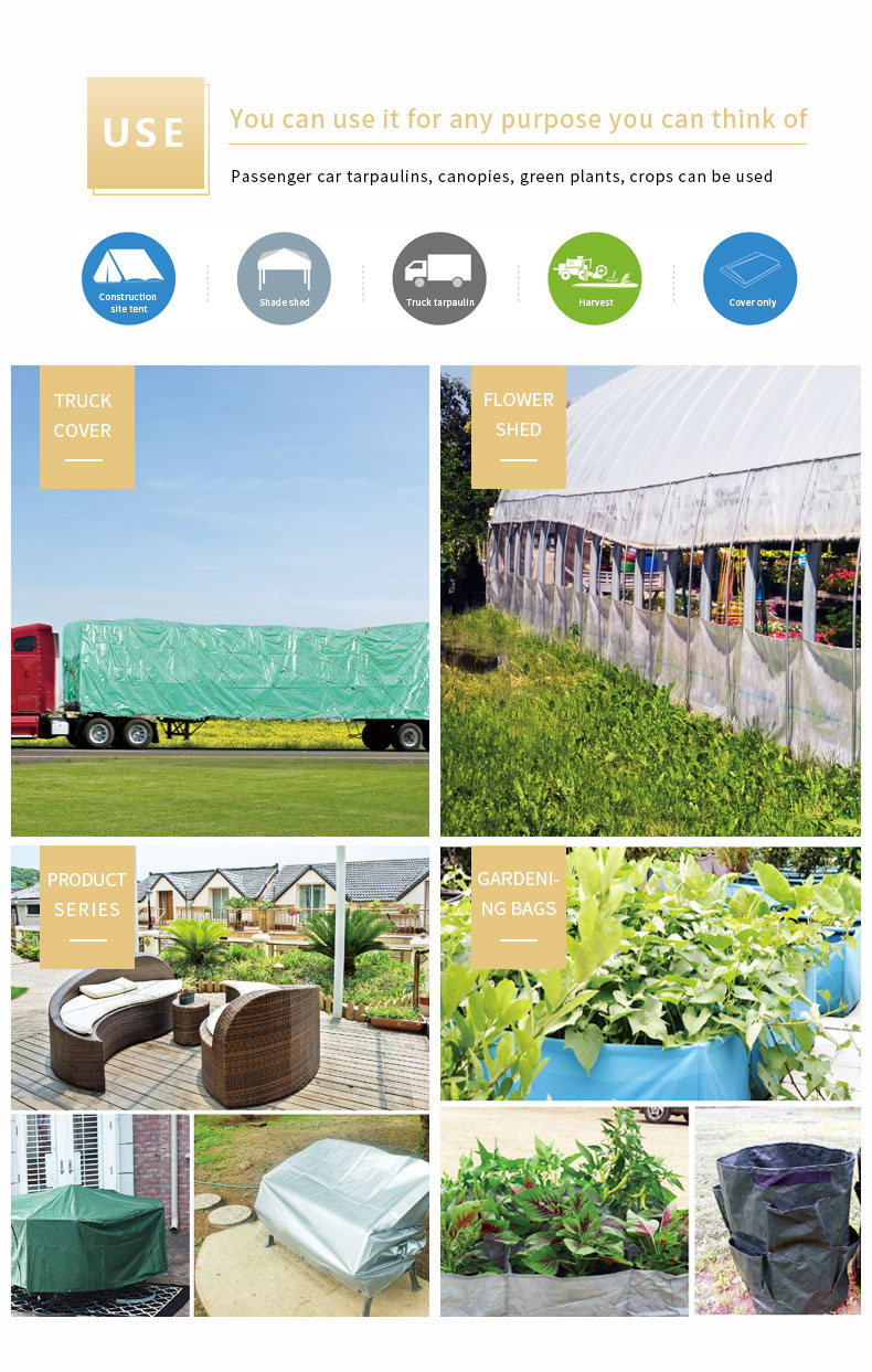 Escenario de aplicaci&oacute;n