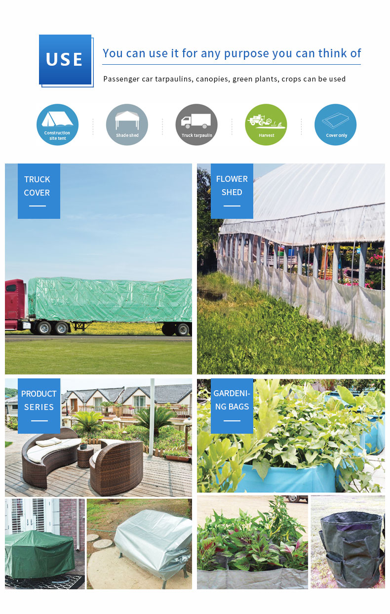 Escenario de aplicaci&oacute;n