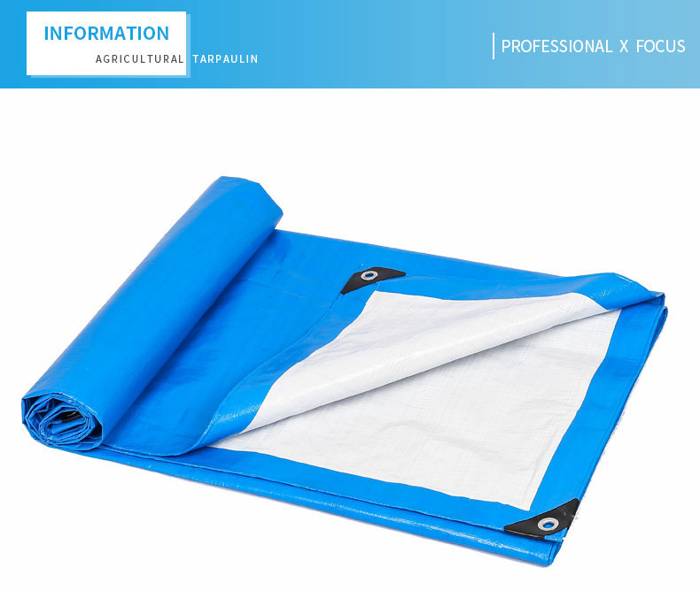 enfoque profesional x