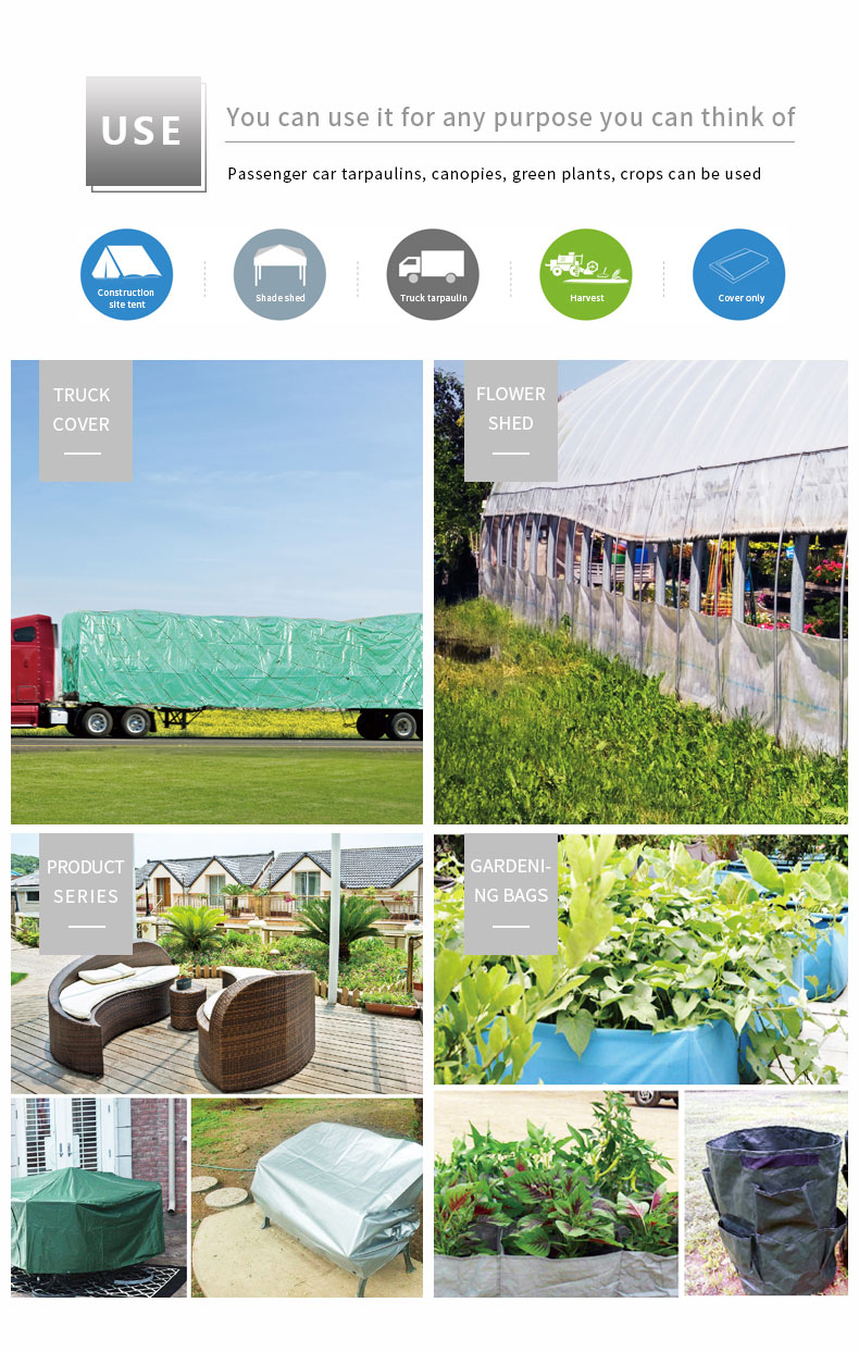 Escenario de aplicaci&oacute;n