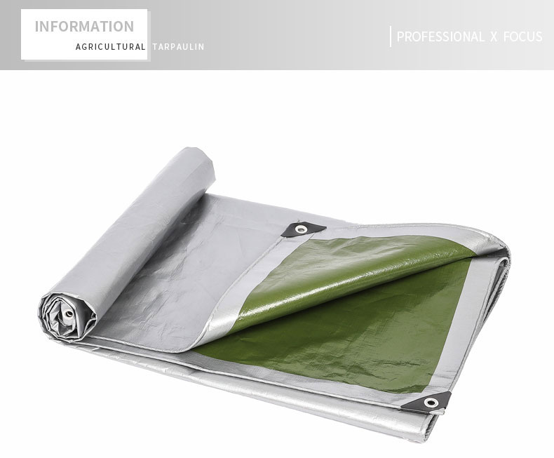 enfoque profesional x