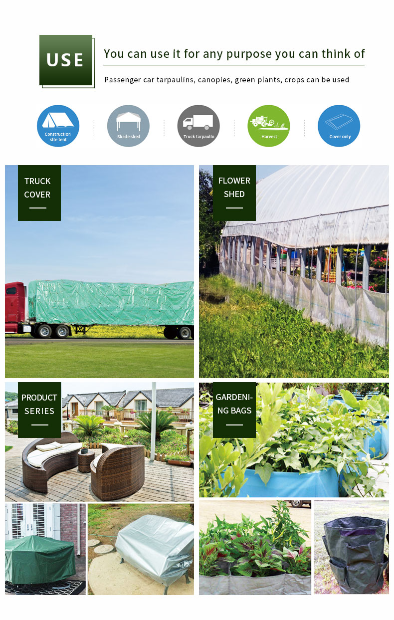 Escenario de aplicaci&oacute;n