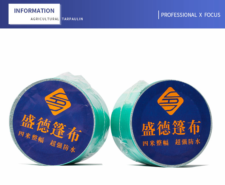 enfoque profesional x