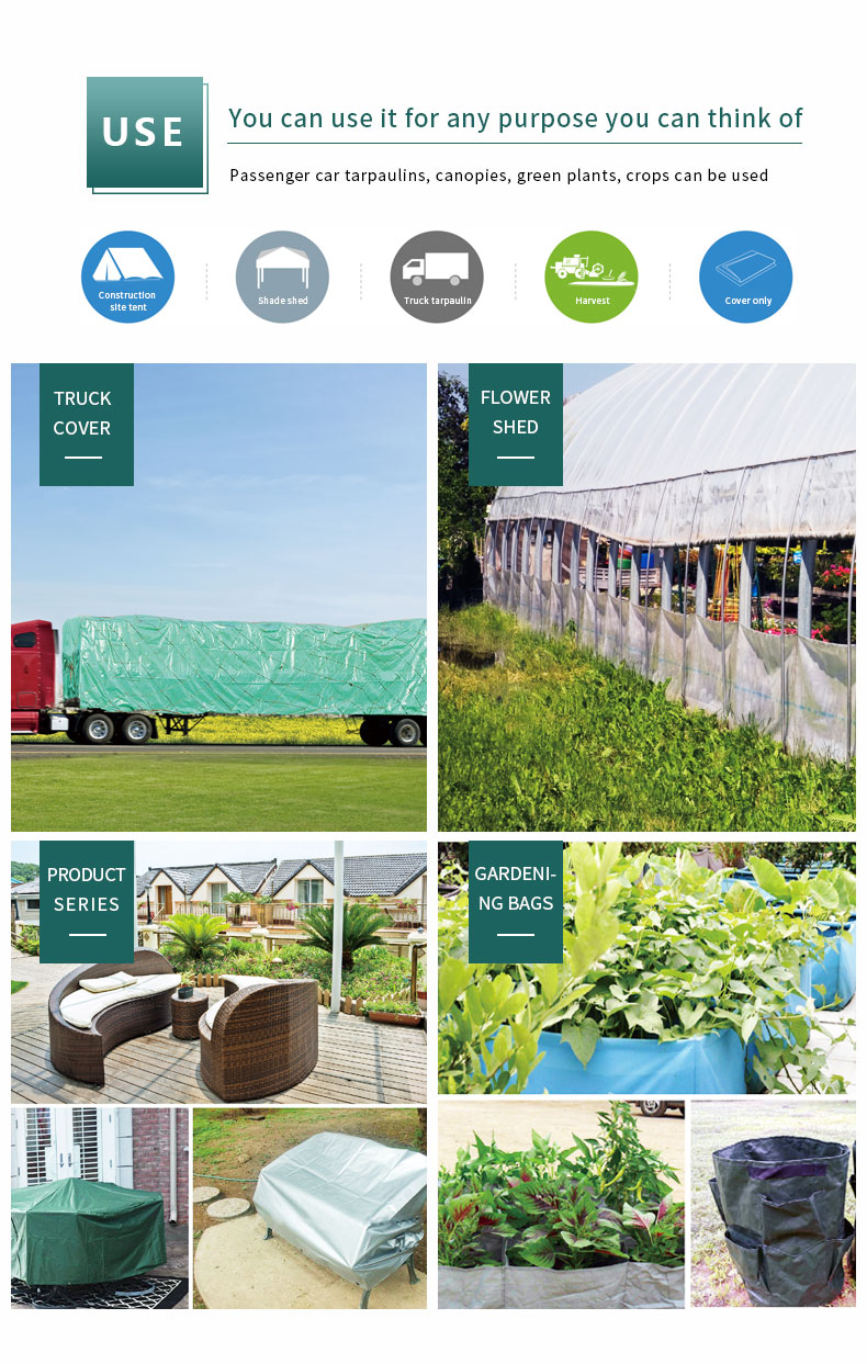 Escenario de aplicaci&oacute;n