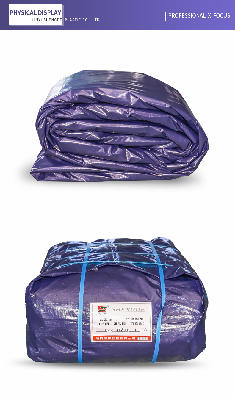 enfoque profesional x