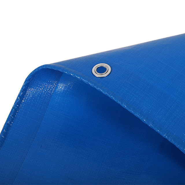 Lona de PE azul/azul