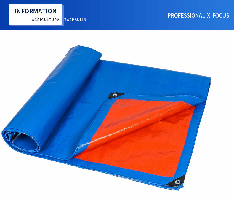 enfoque profesional x