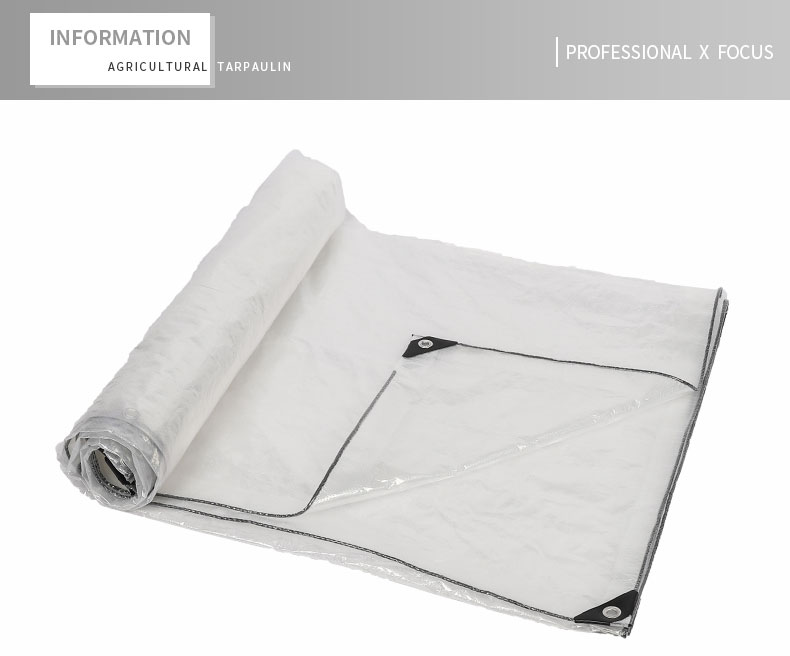 enfoque profesional x