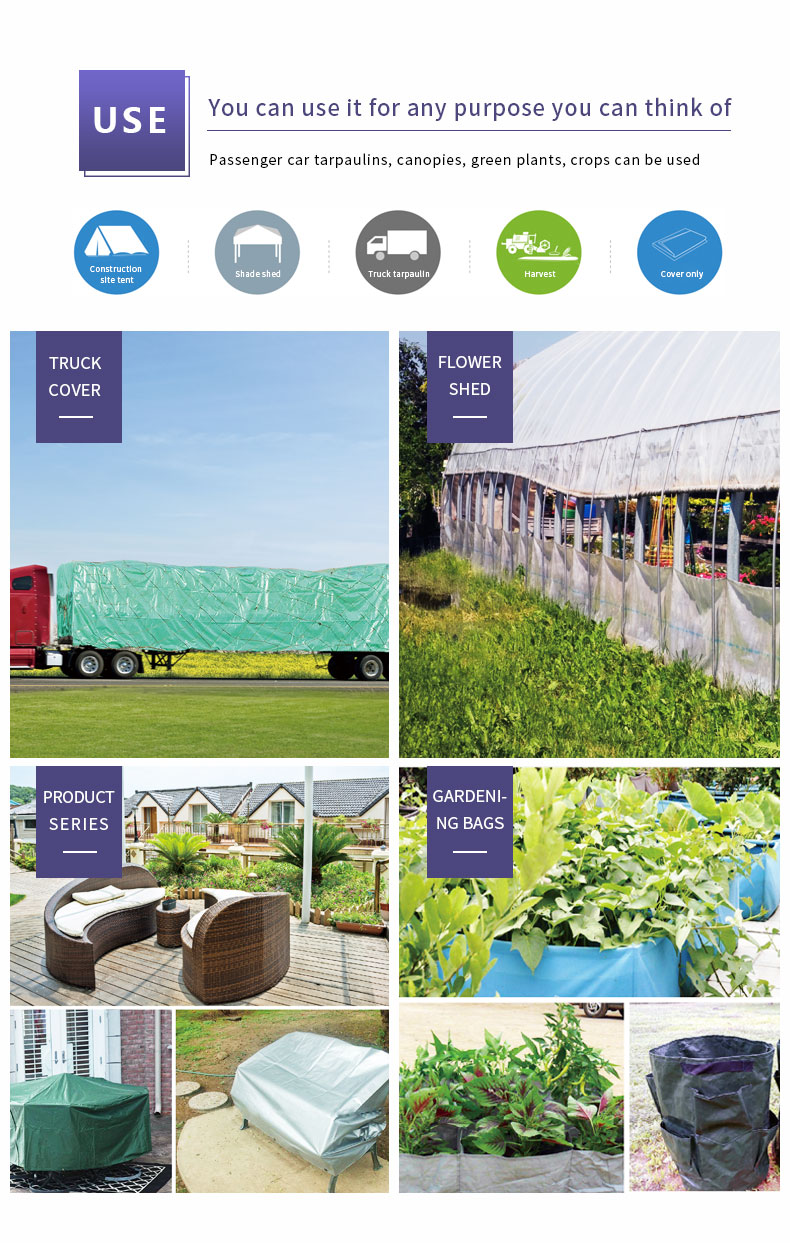 Escenario de aplicaci&oacute;n