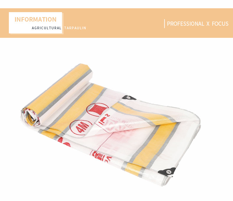 enfoque profesional x