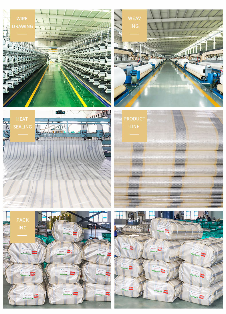 Almac&eacute;n, fuerza