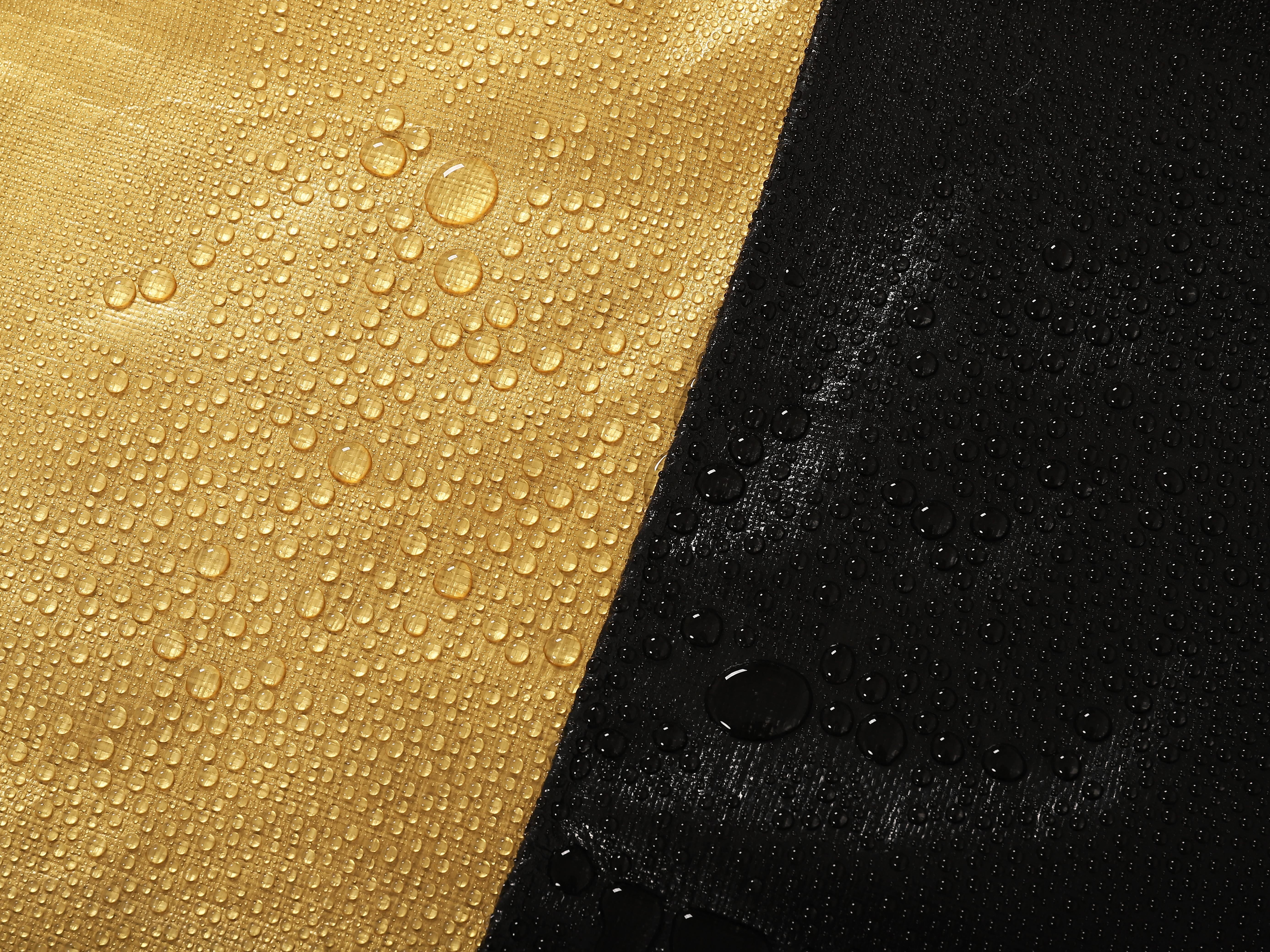 微信图片_20240320090239